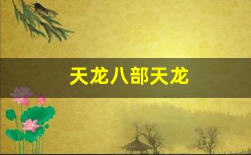 龙八部sf布网：天龙八部天龙(天龙八部天龙指点方案) (2)