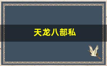 天龙八部私(新天龙八部官网) (2)