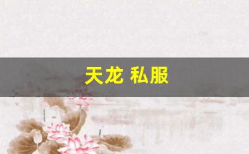 天龙 私服(天龙手游私sf下载) (14)