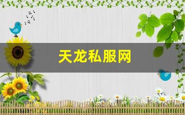 天龙八部天龙：天龙私服网 (15)